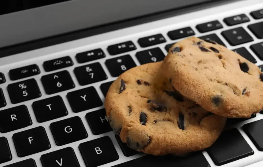 UE Rivoluziona la Legge Cookie